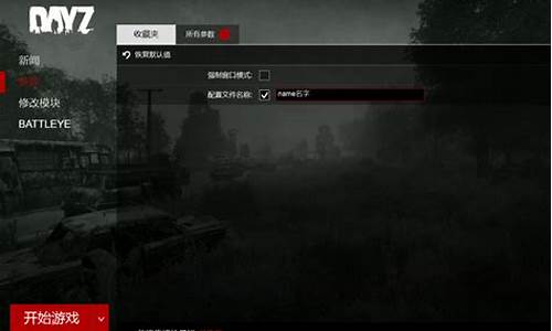 dayz文件和电脑系统不匹配,dayz版本错误