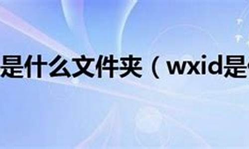 电脑系统中wxid是什么意思_wxid啥意思