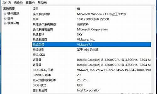 电脑系统型号怎么看-电脑系统型号伪装在哪里