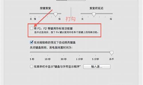 电脑系统预置在哪里-电脑预设是什么意思