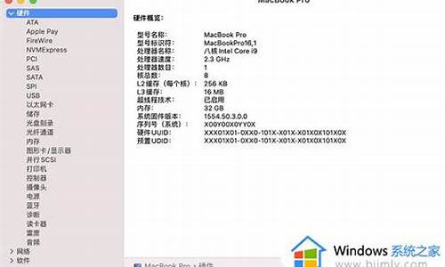 苹果电脑系统怎么查看配置-苹果电脑系统如果查配置